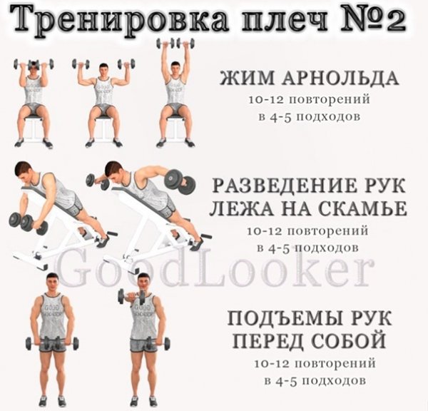 6TCG-fpyPqU