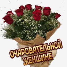 розы