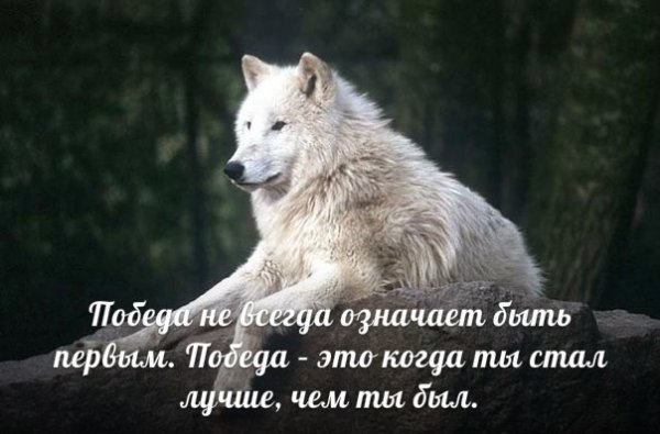 Победа