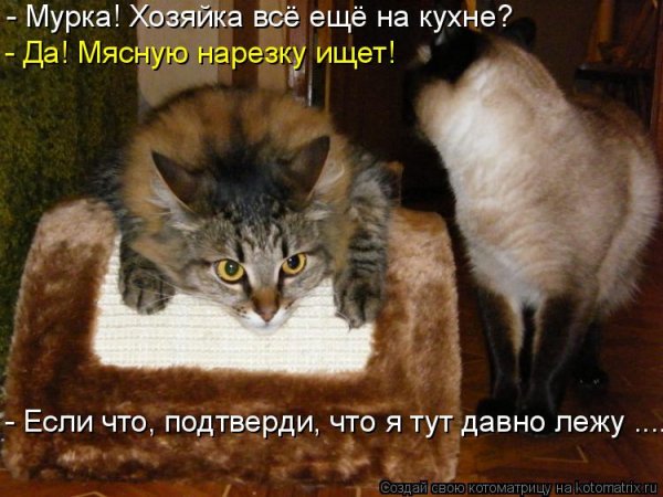 picture_414222850