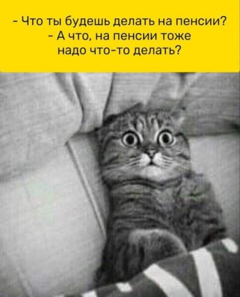 А на пенсии чото надо делать?