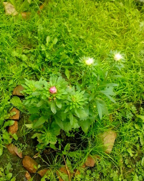 IMG 20160921 130018