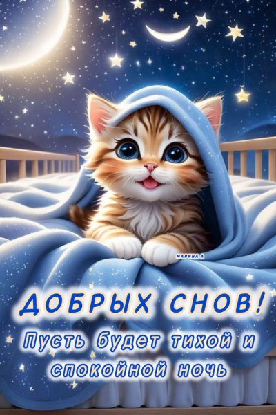 C3fd3a46adb2419aaaab4115570eb177