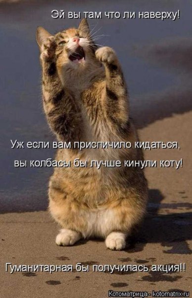 А то! ))