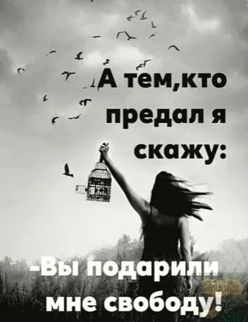 IMG 20211205 041456