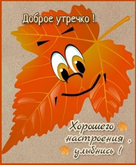 IMG-20210916-WA0002