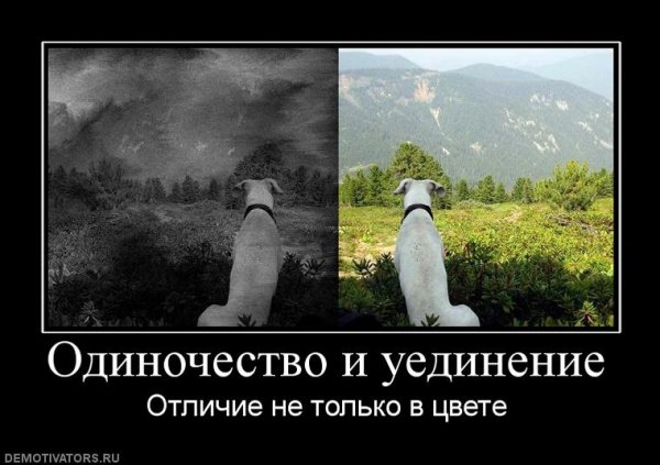 Demotivator (13)