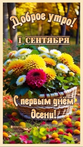 F1e02bc32ff2765e16bf0378c76c8749