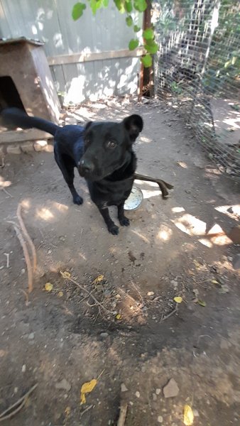 picture_369807747