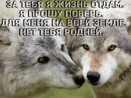 picture_211568155