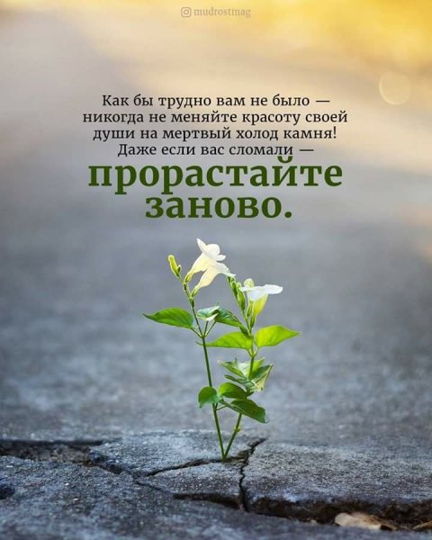 Прорастайте заново