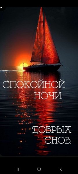 IMG-20240928-WA0024