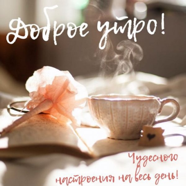 IMG-20211213-WA0002
