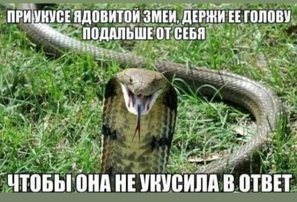 Njbdwqyd