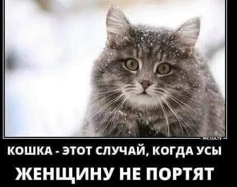 16fb78b4cba63583a7