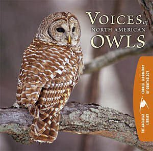 Cornell Lab of Ornithology - 92 Owl, Barred  Pair caterwauling