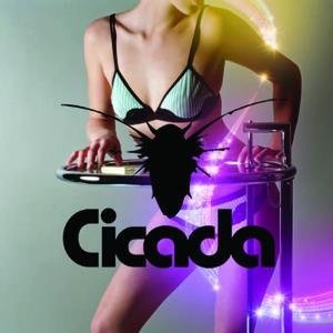 Cicada - You Got Me Feeling