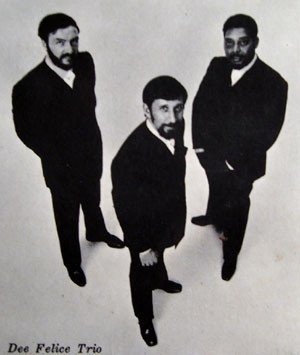 Dee Felice Trio - Wichita Lineman